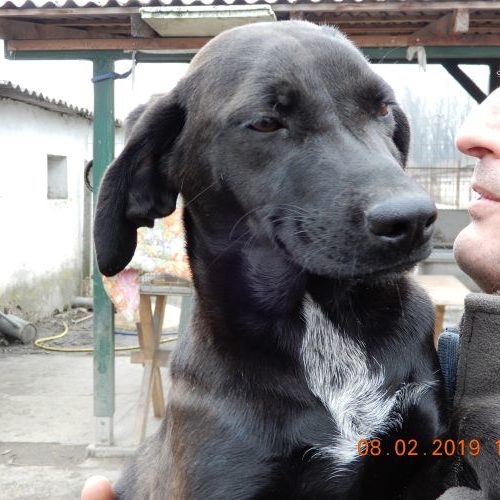 lekvar_‎2019-‎02-‎08_04