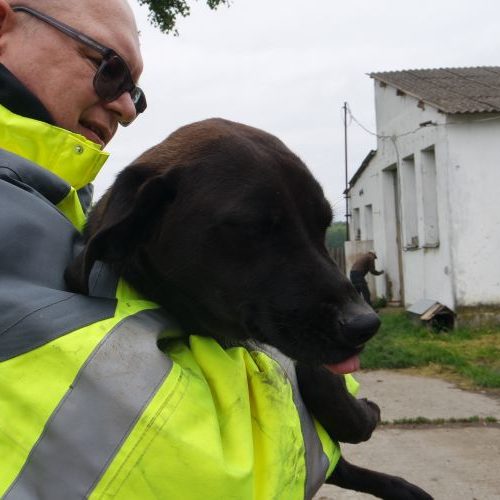 lekvar_‎2019-‎03-‎17_10