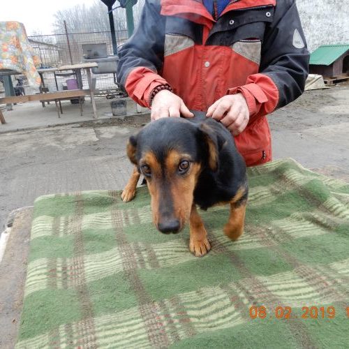 linda_‎2019-‎02-‎08_05