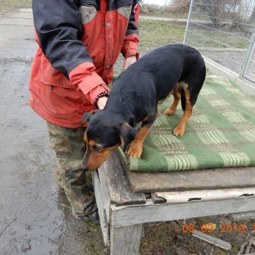 linda_‎2019-‎02-‎08_08