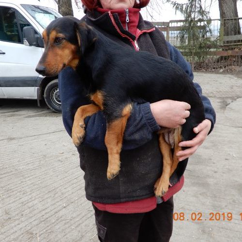 linda_‎2019-‎02-‎08_11