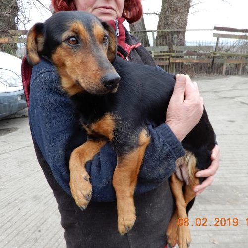 linda_‎2019-‎02-‎08_14