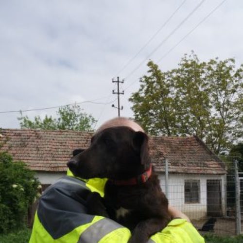 pocok_‎2019-‎03-‎17_08