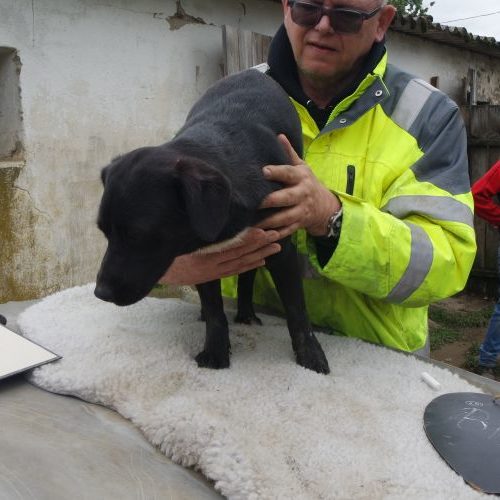 bilux_‎2019-‎03-‎17_07