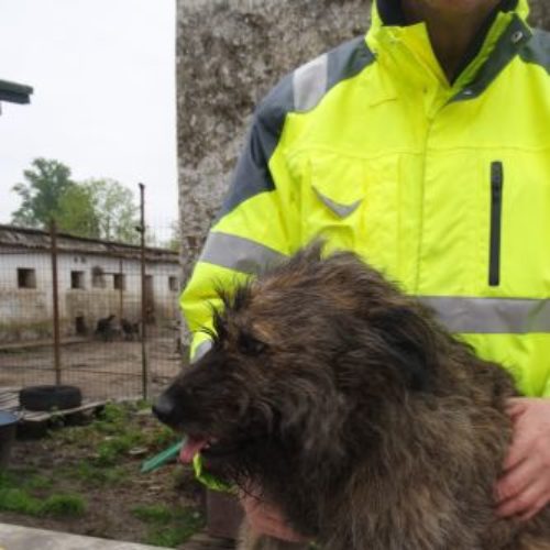 bucsi_‎2019-‎03-‎17_09
