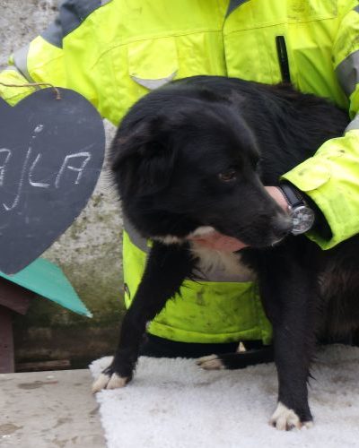 kajla_‎2019-‎03-‎17_01