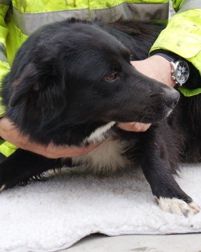 kajla_‎2019-‎03-‎17_03
