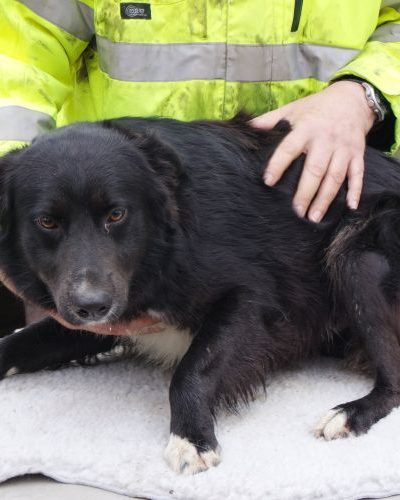 kajla_‎2019-‎03-‎17_04