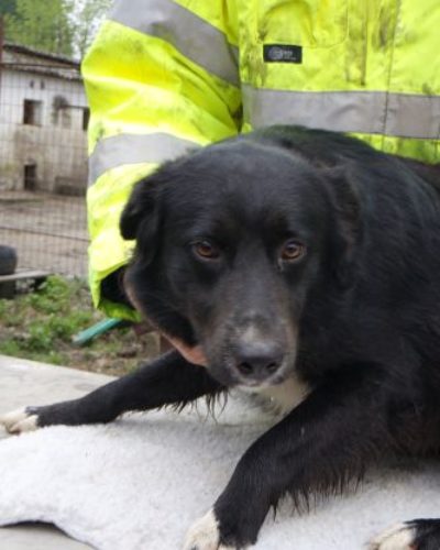 kajla_‎2019-‎03-‎17_06