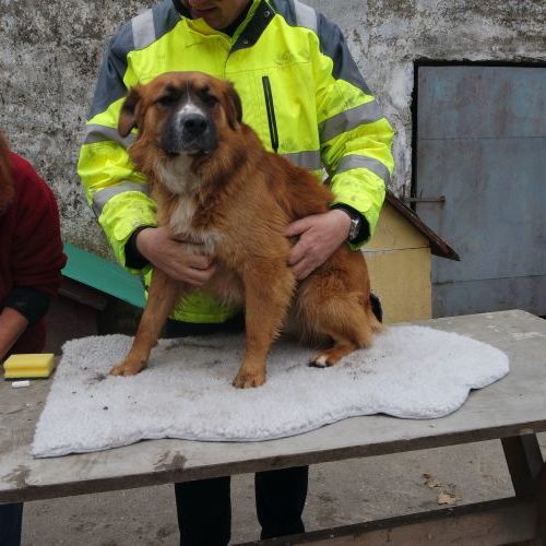 kreta_‎2019-‎03-‎17_02