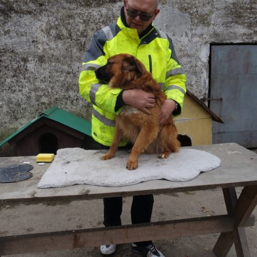 kreta_‎2019-‎03-‎17_04