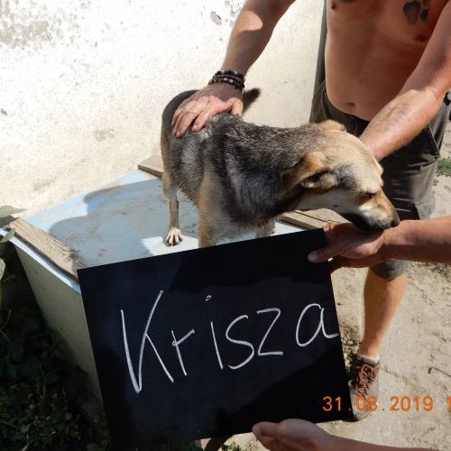 krisza_‎2019-‎08-‎31_01