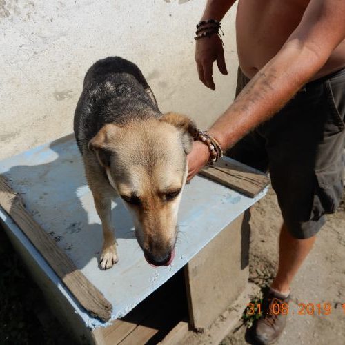 krisza_‎2019-‎08-‎31_02