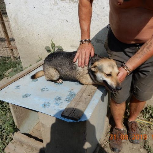 krisza_‎2019-‎08-‎31_04