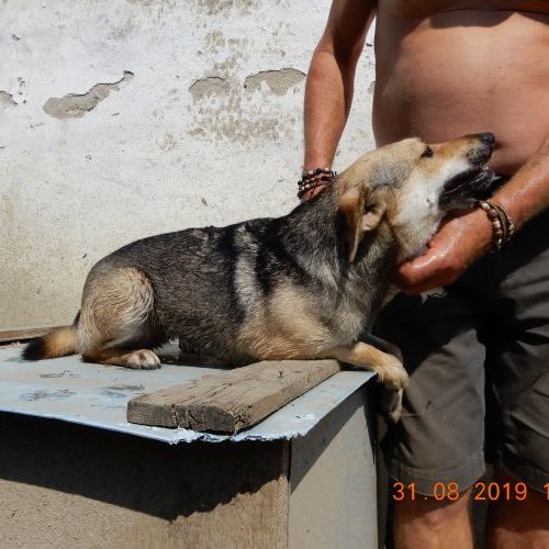 krisza_‎2019-‎08-‎31_05