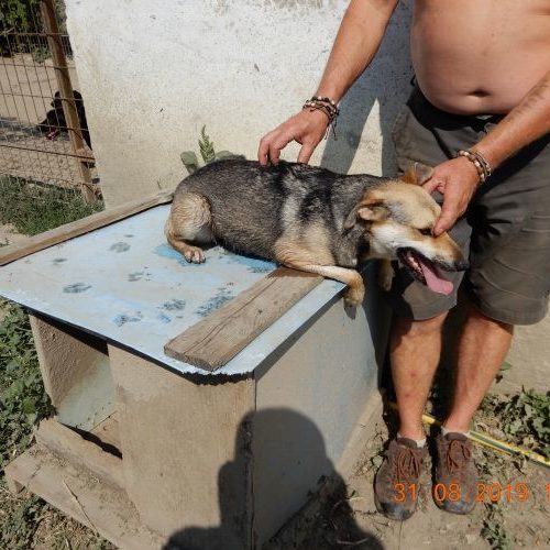 krisza_‎2019-‎08-‎31_08