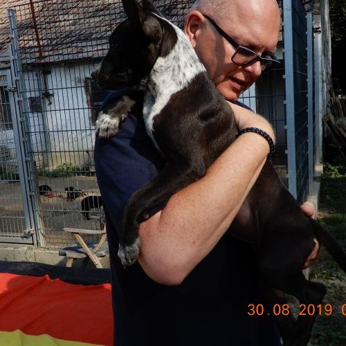 lesco_‎2019-‎08-‎30_08