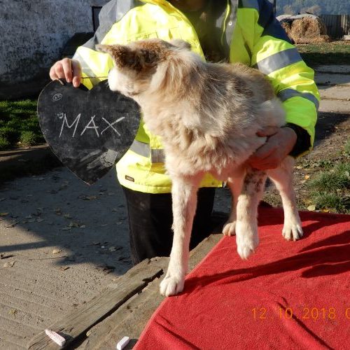 max_‎2018-‎10-‎12_01