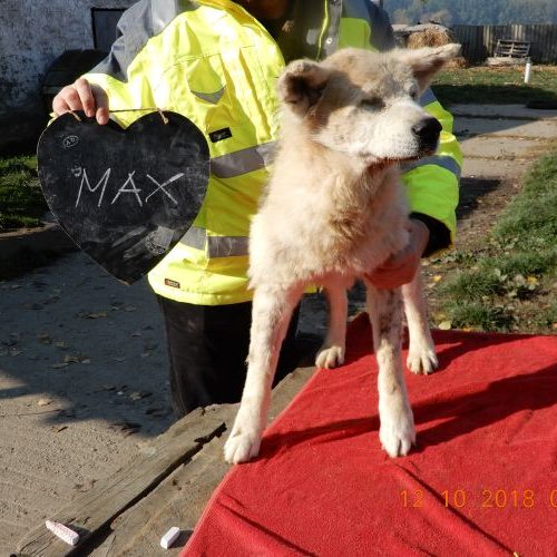 max_‎2018-‎10-‎12_02