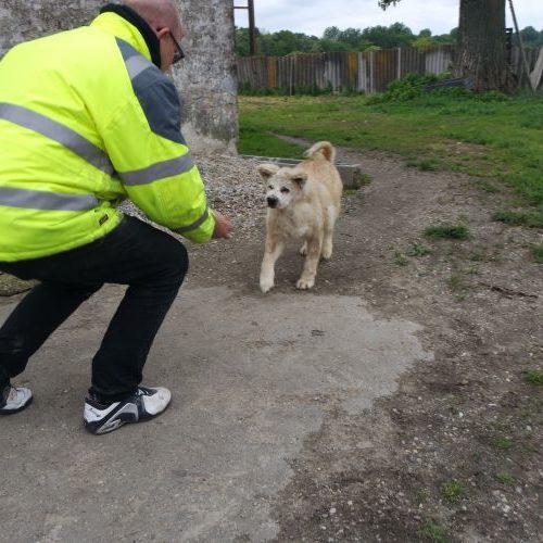 max_‎2019-‎03-‎17_01