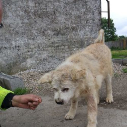 max_‎2019-‎03-‎17_07
