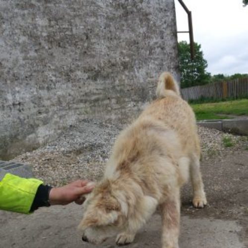 max_‎2019-‎03-‎17_08