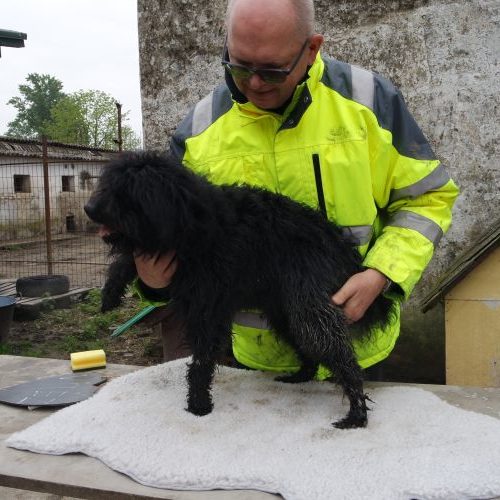 vitez_‎2019-‎03-‎17_22