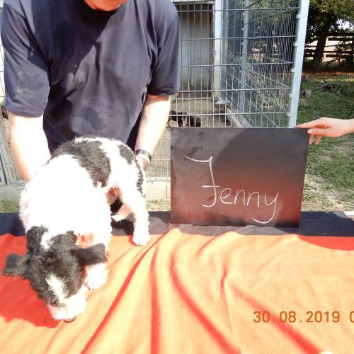 jenny_‎2019-‎08-‎30_01