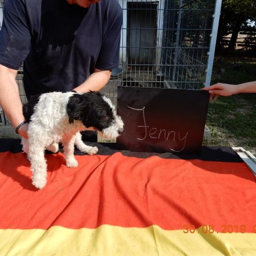 jenny_‎2019-‎08-‎30_02