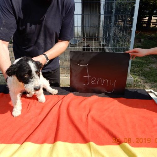 jenny_‎2019-‎08-‎30_03