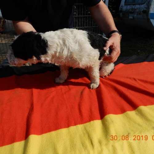 jenny_‎2019-‎08-‎30_05