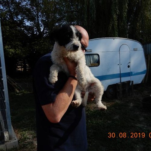 jenny_‎2019-‎08-‎30_08