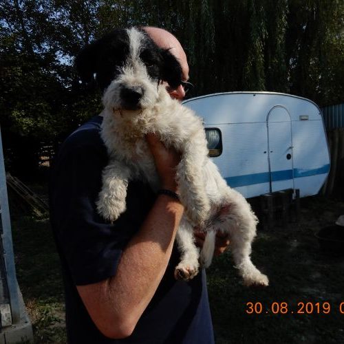 jenny_‎2019-‎08-‎30_09