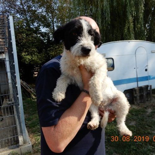 jenny_‎2019-‎08-‎30_10