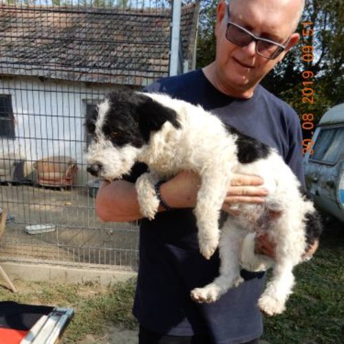 jenny_‎2019-‎08-‎30_12