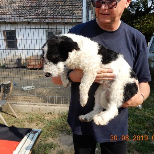 jenny_‎2019-‎08-‎30_13