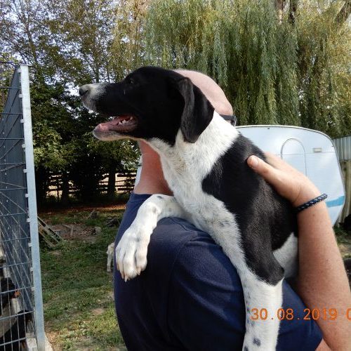 rita-welpe_‎2019-‎08-‎30_20