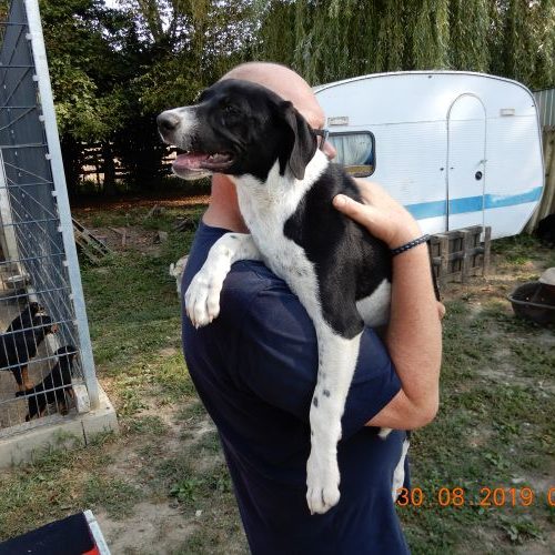 rita-welpe_‎2019-‎08-‎30_21