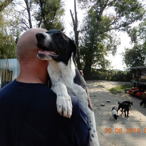 rita-welpe_‎2019-‎08-‎30_22