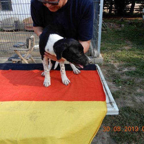 rita-welpe_‎2019-‎08-‎30_23