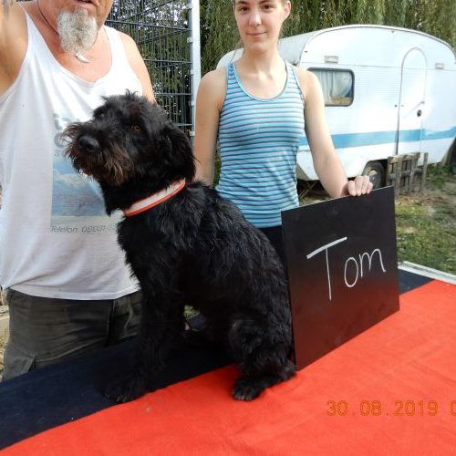 tom_‎2019-‎08-‎30_01