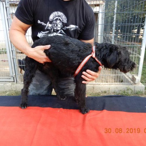 tom_‎2019-‎08-‎30_09