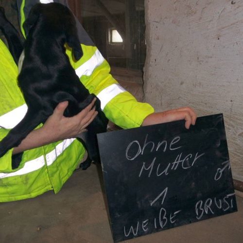 laszlo_‎2019-‎10-‎06_18