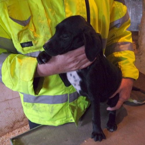 laszlo_‎2019-‎10-‎06_20