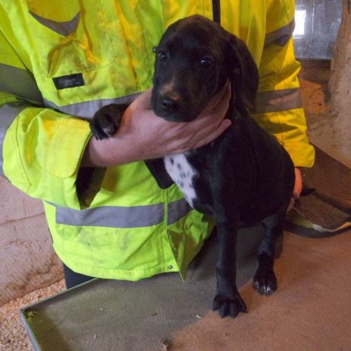 laszlo_‎2019-‎10-‎06_21