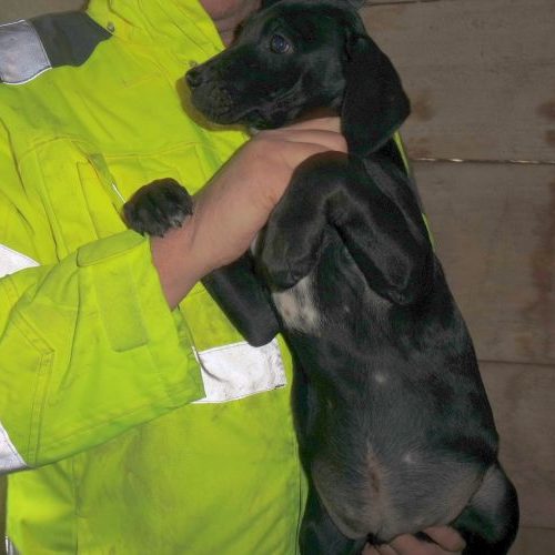 laszlo_‎2019-‎10-‎06_22