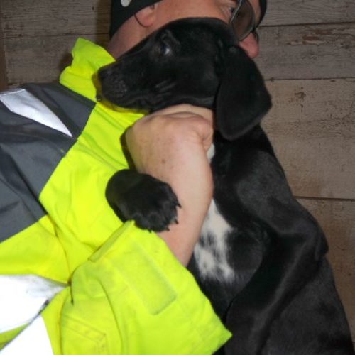 laszlo_‎2019-‎10-‎06_23