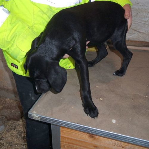 laszlo_‎2019-‎10-‎06_25