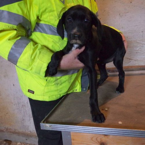 laszlo_‎2019-‎10-‎06_26