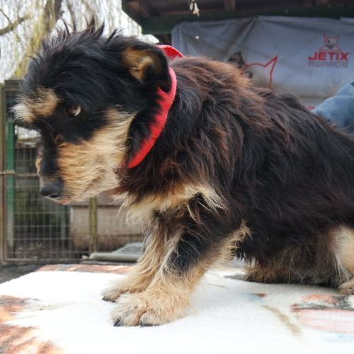 little-rozi_‎2019-‎10-‎06_30
